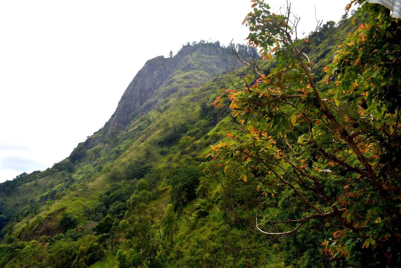 Herbage Natural Ella Exterior photo
